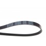 Ремінь генератора Suzuki Swift 1.0i 95-05/ Honda Civic 1.4-1.6 94-01/ Nissan Primera1.6-2.0 96-02