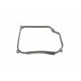 Фільтр АКПП VW Golf 91-06/Skoda Octavia 1.4-2.0i/1.9TDI/SDI 96-10 (з прокладкою на 4 отворів)