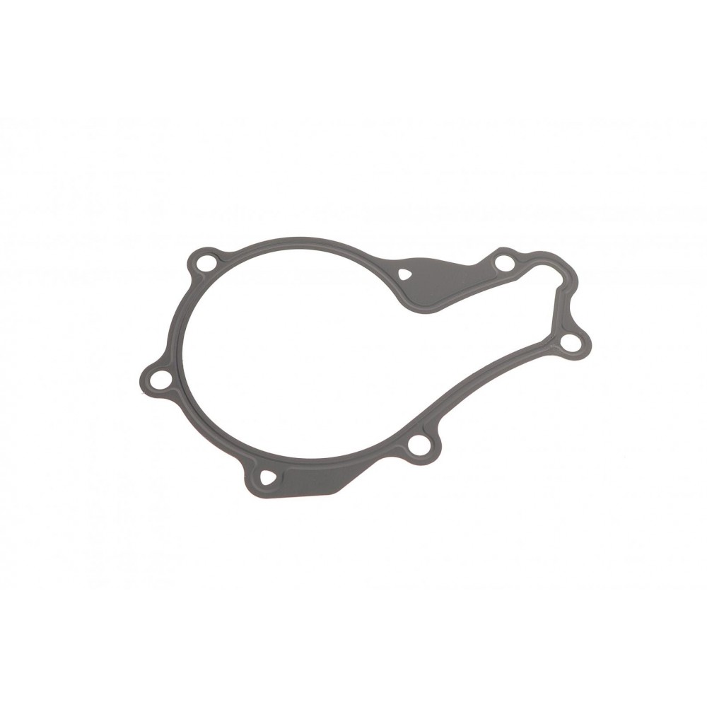 Помпа води Citroen C1/C2/C3/Nemo/Ford Fiesta/Peugeot 206/307/Bipper/Mazda 2 1.4HDI/TDCI 02- (21z)