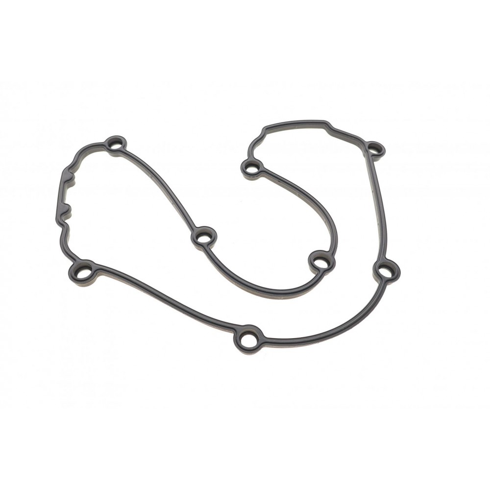 Прокладка кришки клапанів VW Caddy III/Golf IV/Passat B5 1.6 03-