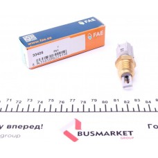 Датчик температури впуску повітря Ford Transit 2.5DI/TD 94-06 (3/8x18 NPTF) (сірий)
