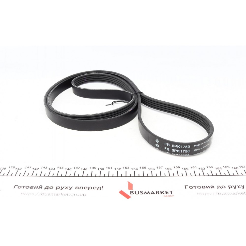 Комплект ременя генератора Renault Megane/Scenic 00-09, (5PK1750)