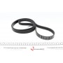 Комплект ременя генератора Renault Megane/Scenic 00-09, (5PK1750)