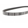 Ремінь генератора Smart 0.6-0.7i 98-07 (4PK790)