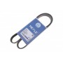Ремінь генератора Citroen Nemo/Fiat Fiorino/Peugeot 206 1.4 (6PK1225)