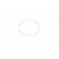 Кільце ABS (переднє) Ford Galaxy/VW Sharan 97-10