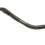 Патрубок вентиляції картера BMW 3 (E91)/1 (E87) 2.0i 04-12 (N46)