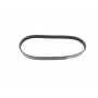 Ремінь генератора Ford C-Max/ Focus/ Volvo S40 1.8-2.0 06-12 (5PK705)