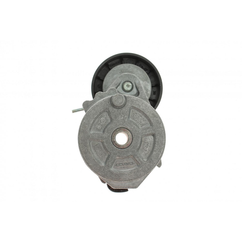 Натяжник ременя генератора Ford Mondeo IV/Peugeot 407 2.0TDCi/2.2 HDi 06-