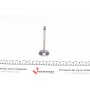Клапан (впуск) VW Caddy 1.9SDI 95-04 (36x7x96.5) (азотований)