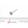 Клапан (випуск) Opel Astra G/Insignis A/Vectra B/C/Zafira A/B (30.1x6x100.9) (азотований)
