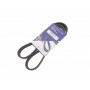 Ремінь генератора Fiat Bravo 1.9TD/JTD 96-01/1.6 D Multijet 07- (6PK1036)