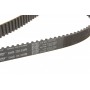 Комплект ГРМ Audi 80/A4/A6/A8 2.6/2.8i 91-01 (25x239z)