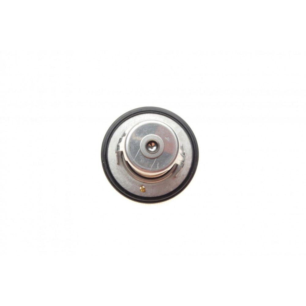 Термостат Nissan Sunny/Mitsubishi Pajero/Lancer 1.6-3.2 92- (76°)