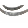 Ремінь генератора Toyota Corolla 1.6/1.8 04-09/BMW 3 (E46/E90)/X1 (E84) 1.6/2.0 01-15