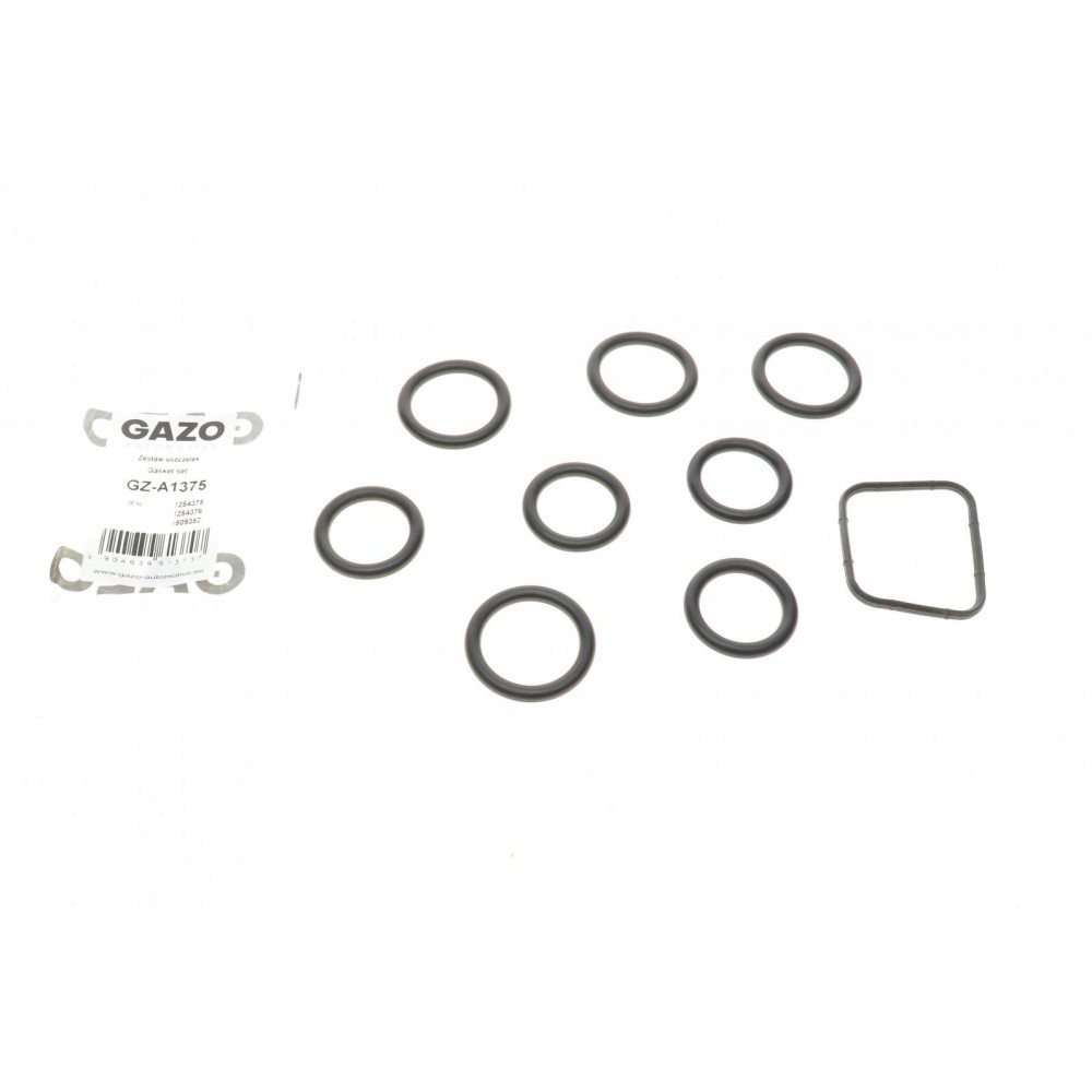 Прокладка колектора впускного Citroen Berlingo/Peugeot Expert 1.6 HDI 05- (к-кт)