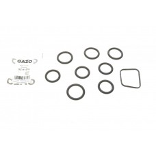 Прокладка колектора впускного Citroen Berlingo/Peugeot Expert 1.6 HDI 05- (к-кт)