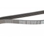 Ремінь генератора Hyundai i30 1.4i 07-12 (6PK1255)