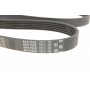 Ремінь генератора Infiniti FX/M45/Lexus GS/Mitsubishi Outlander 1.8-4.5 93-