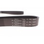 Ремінь генератора Chrysler Cruiser 2.2 CRD 02-10 (6PK1600)