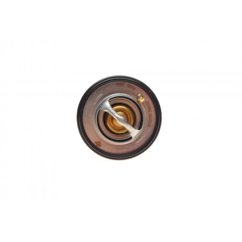 Термостат Nissan Sunny/Mitsubishi Pajero/Lancer 1.6-3.2 92- (76°)