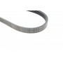 Ремінь генератора BMW 3 (E36) 95-00 (5PK836) (N47/M47)