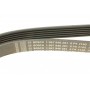 Ремінь генератора MB Vito (W638) 2.2CDI (OM611) (6PK2160)