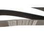 Ремінь генератора BMW 3 (F30/F80)/5 (F10)/ X5 (F15/F85)/ X6 (F16/F86) 13- (8PK1390) (N55)