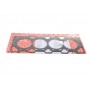 Прокладка ГБЦ Honda Civic/Accord/Land Rover Freelanred 2.0D 94-06 (1.2mm) (2 метки)