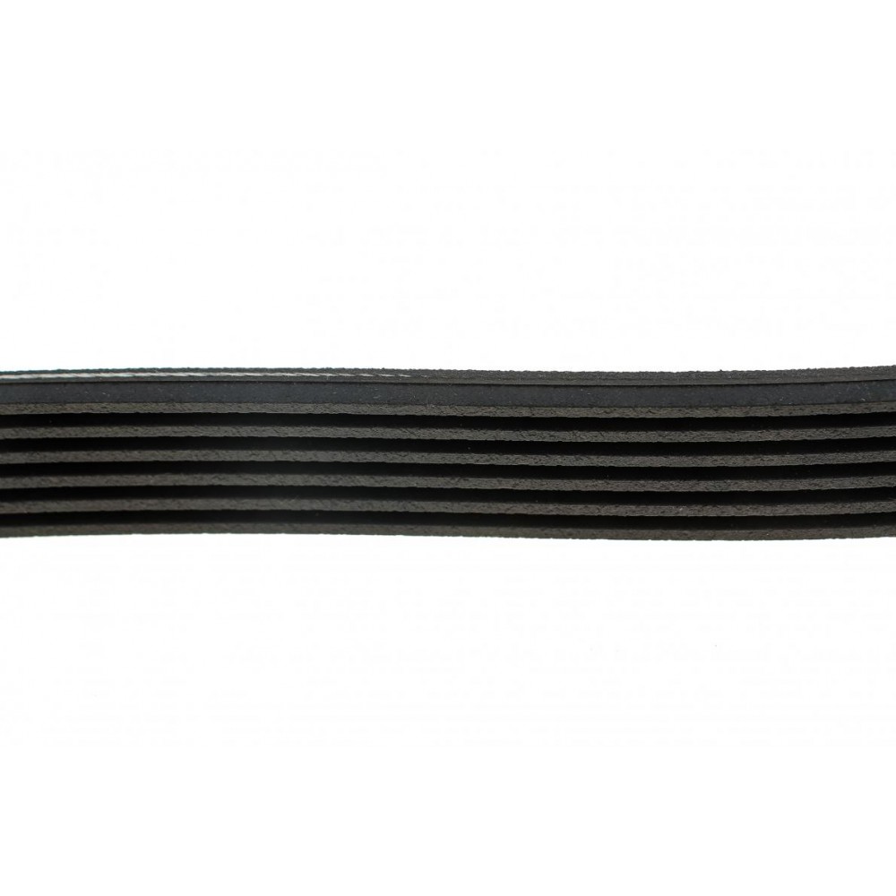 Ремінь генератора Fiat Scudo/Citroen Berlingo/VW Golf IV 1.8/1.9TDI 97- (6PK1658)