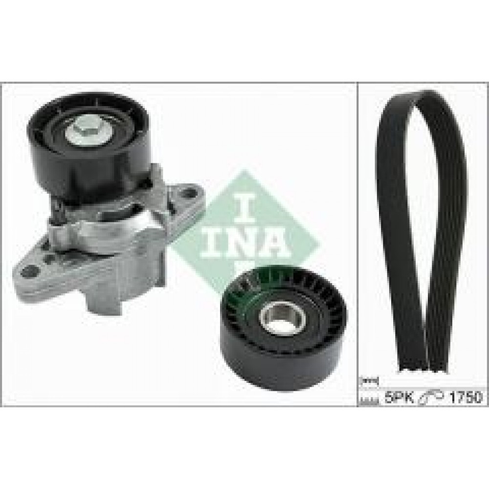 Комплект ременя генератора Renault Megane/Scenic 00-09, (5PK1750)