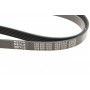 Ремінь генератора Audi A4 1.6-2.0 00-08 (6PK1570)