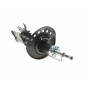 Амортизатор (передній) Nissan Qashqai 07-13 (L)