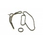 Прокладка радіатора масляного Ford Transit 2.2-2.4TDCi 06- (к-кт)