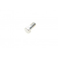 Болт Banjo (банжо) M10x1mm (14x27.1)