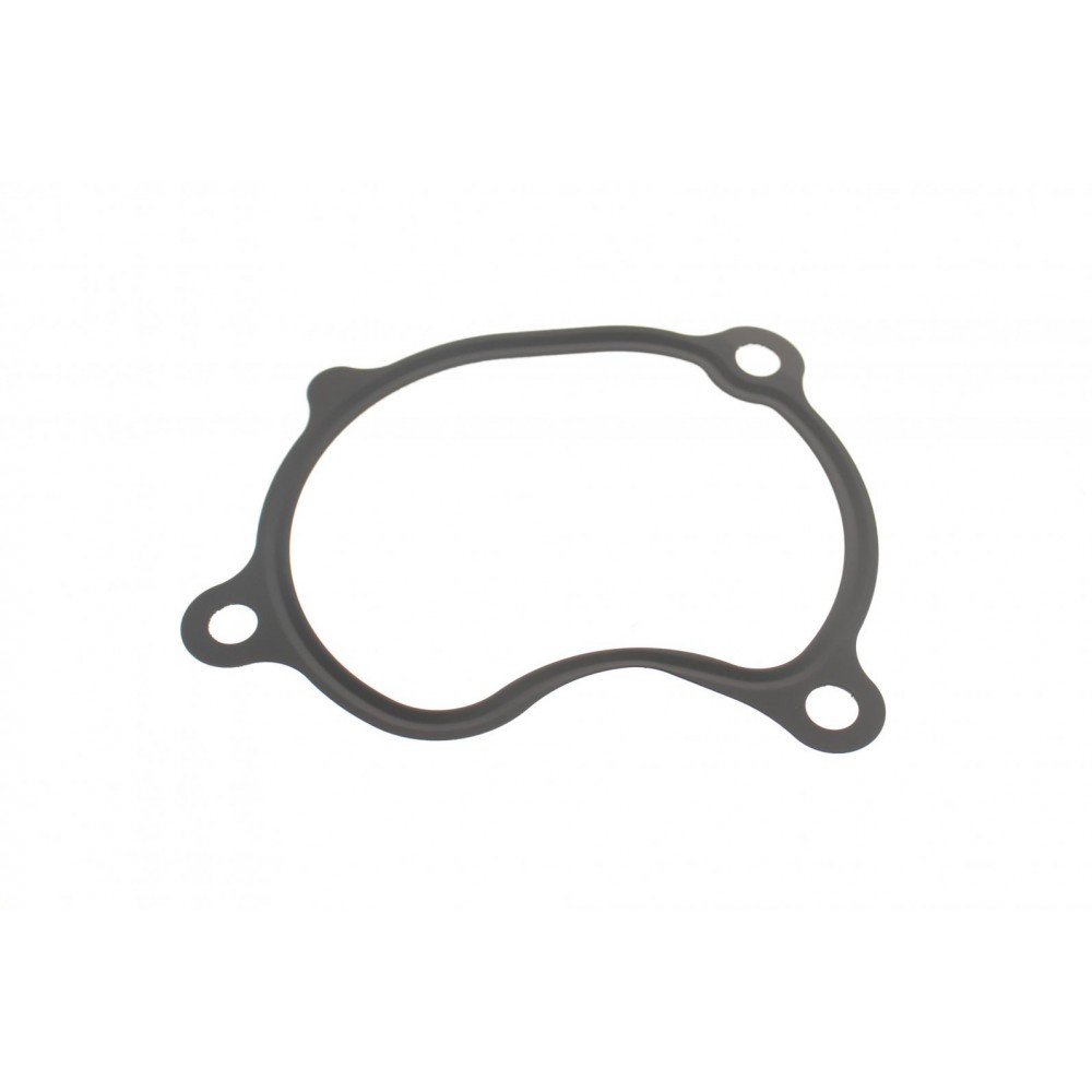 Прокладка корпусу колектора впускного Renault Laguna 3.5 V6 08-15