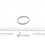 Прокладка колектора впускного Ford Transit 2.0TDCi/2.4TDCI 00-