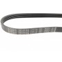 Ремінь генератора Ford Focus 2.0 04-12/Peugeot 405/605 1.8/2.0 Turbo 88-99 (5PK710)