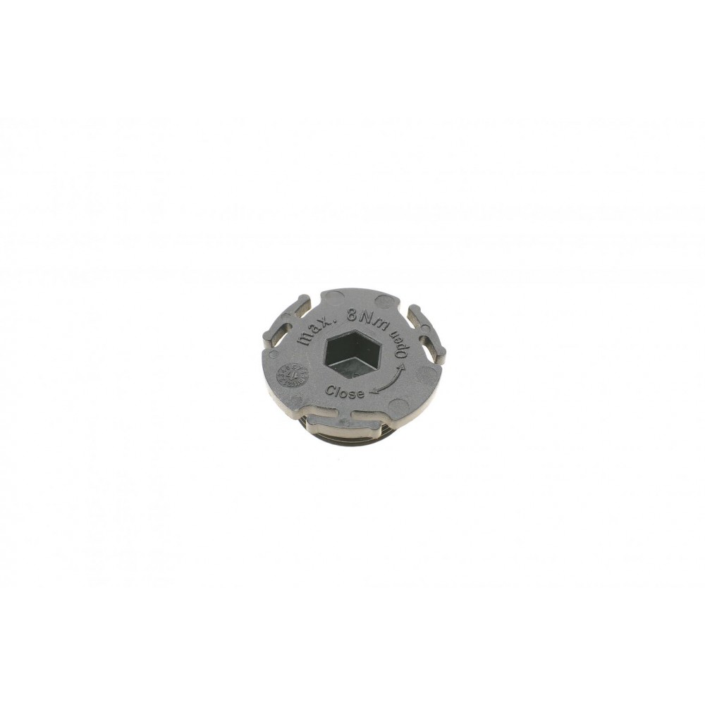 Болт зливу оливи BMW 1 (F20/F21)/3 (F30/F80)/5 (F10) 10- (M24x1.5)