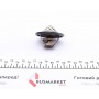 Термостат Opel Vivaro 2.0/Renault Kangoo 1.6 01- (більше не постачається)