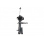 Амортизатор (передній) Land Rover Freelander 00-06 (L)