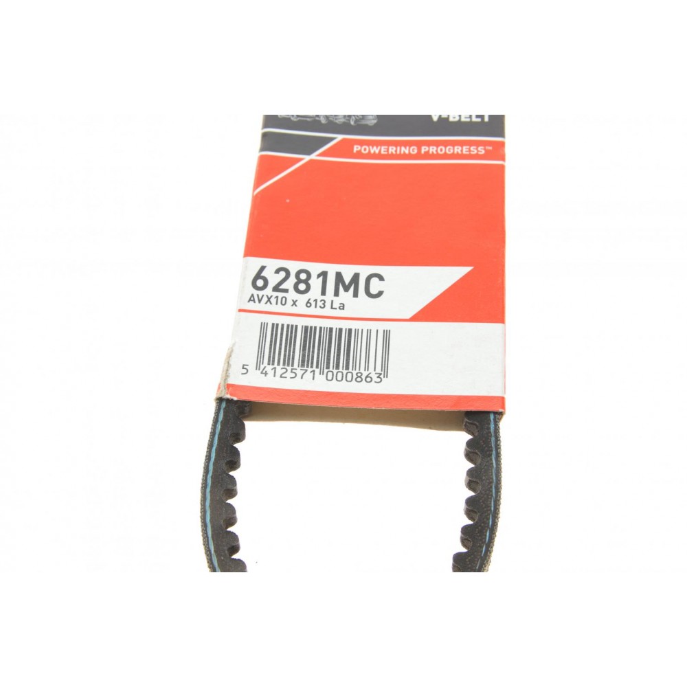 Ремінь генератора Citroen GS/Daewoo Tico/Land Rover Discovery I/Peugeot 305 II/505 78-00 (10х613)