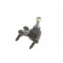 Опора кульова (передня/знизу/L) Audi A3/Skoda Octavia/VW Caddy/Golf 03-