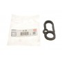 Прокладка кришки клапанів Land Rover Defender/Discovery/Range Rover 3.0/5.0 09- (L)