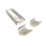 Вкладиші корінні Alfa Romeo 156/166 2.4 JTD 00-07 (+0.50)
