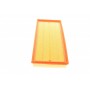Фільтр повітряний Land Rover Discovery 2.0Td/3.0D/3.0/5.0/Range Rover/Sport 3.0/D/TD/4.4D/5.0 09-