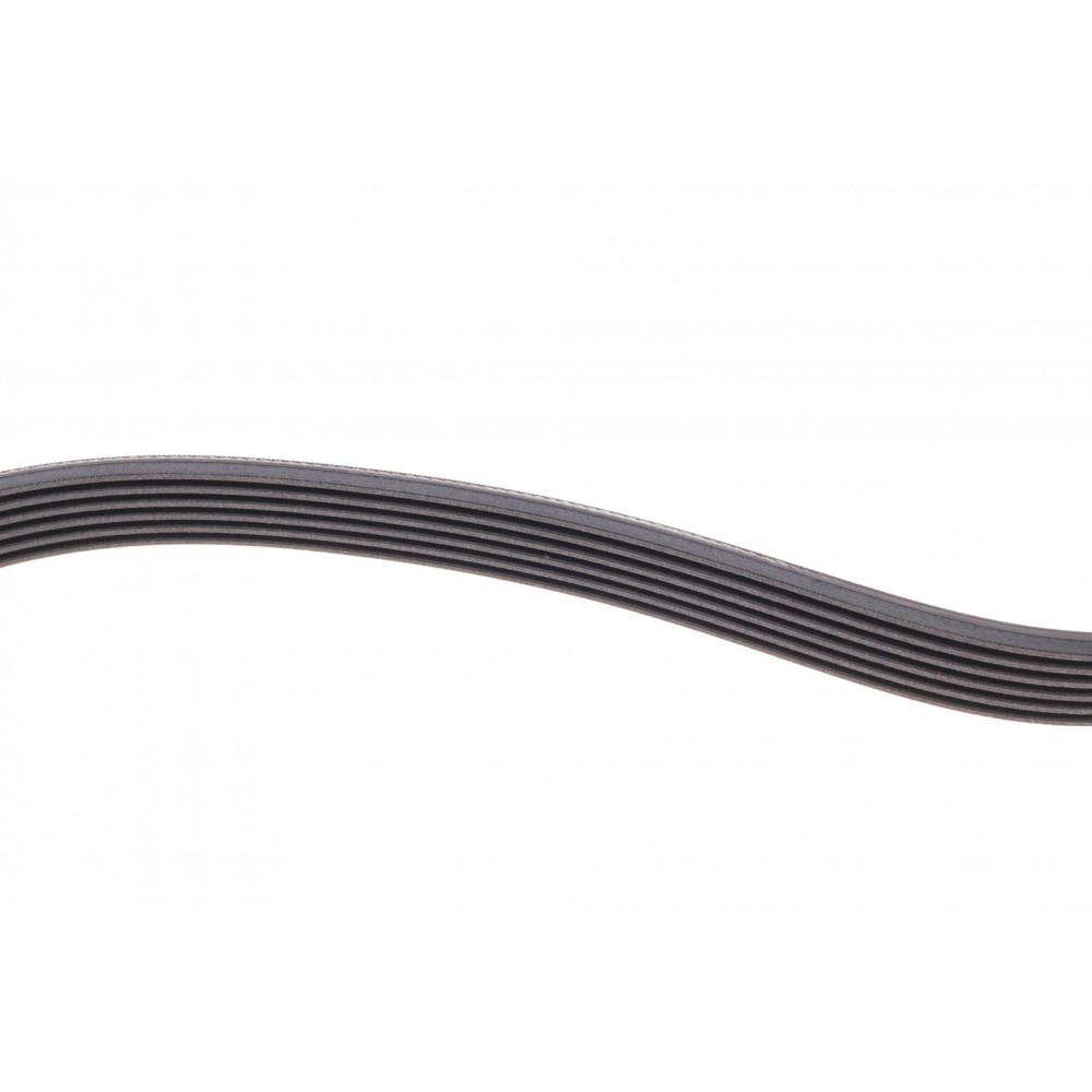 Ремінь генератора VW Caddy/Golf/Skoda Octavia 1.6/2.0 04-15/Fiat Ducato 2.5TDI 94-02/Scudo 1.6 96-06