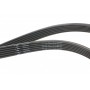 Ремінь генератора Volvo 2.0T/2.4D/3.0T6 01-08