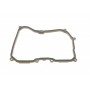 Фільтр АКПП VW Beetle (5C1)/Golf VI (5K1) 07-16/Jetta VI (162) 09-/Passat 6/7 10-16 (с прокладкой)