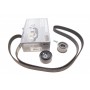 Комплект ГРМ Audi A4/A6/ VW Passat 2.4-2.8 95-05